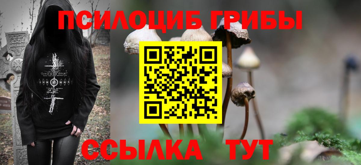 Кунгур  Псилоцибиновые грибы Psilocybine cubensis  Вход с VPN 